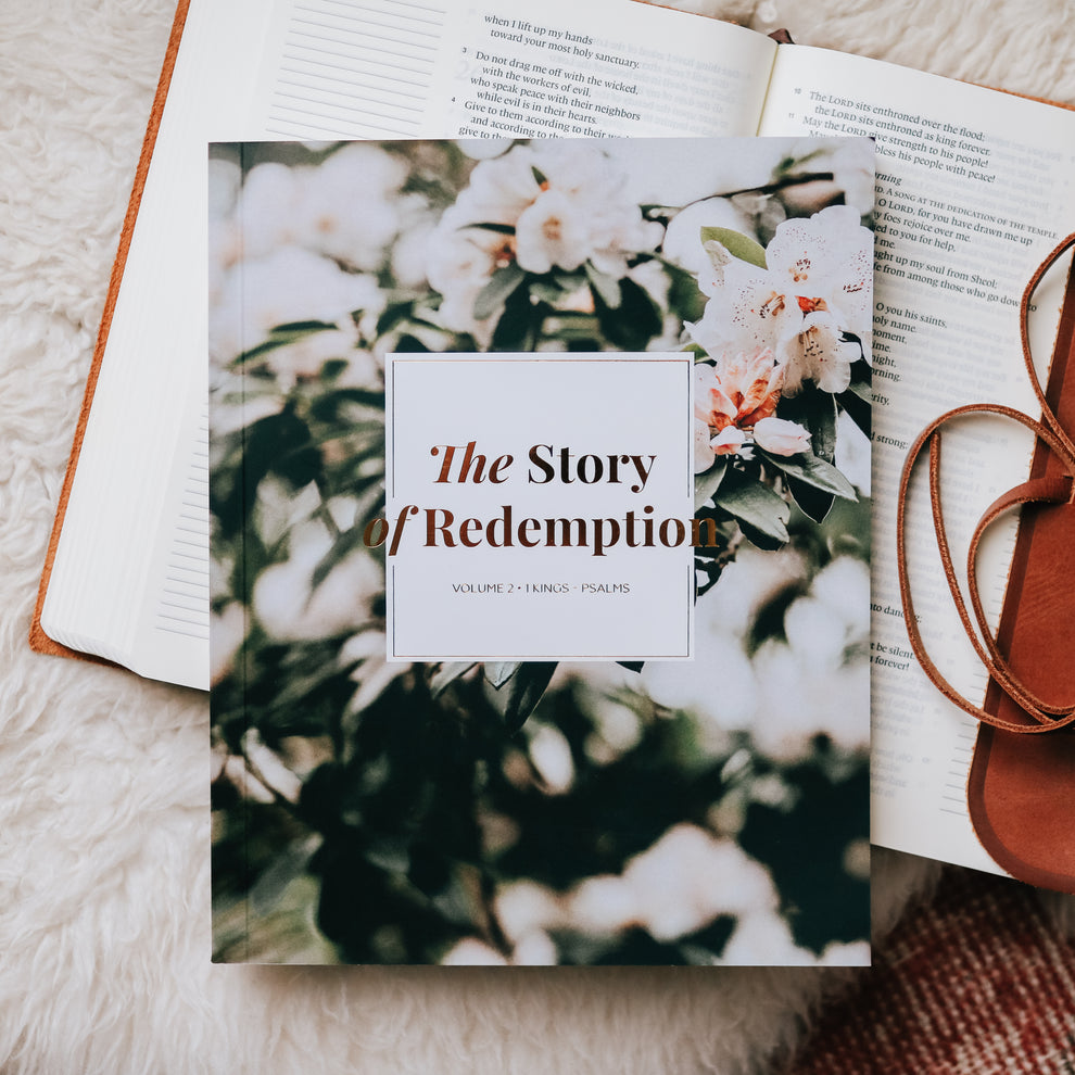 The Story of Redemption 1 Year Bible Study
